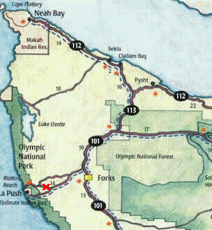 wpe4A.jpg (16003 bytes)