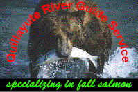 Washington state fishing charters for salmon, halibut and steelhead fishing on the Olympic peninsula fishing.